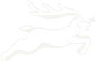 Equestre