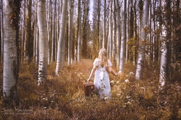 The Lost Child