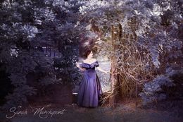 Photo #5