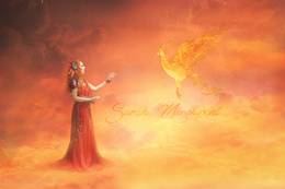 Le Chant du Phoenix